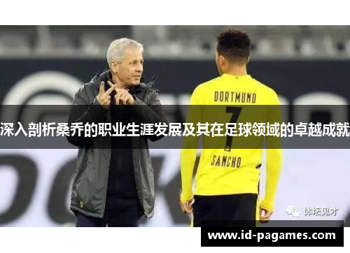 深入剖析桑乔的职业生涯发展及其在足球领域的卓越成就